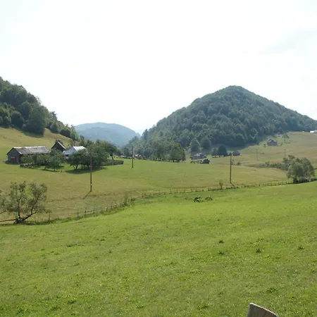 Garofita Pietrei Craiului