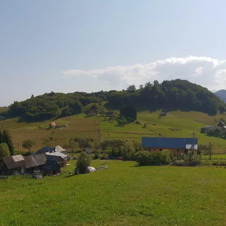Garofita Pietrei Craiului