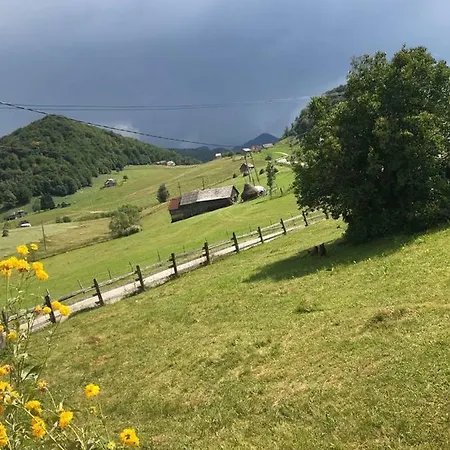 Garofita Pietrei Craiului Guest house Ciocanu